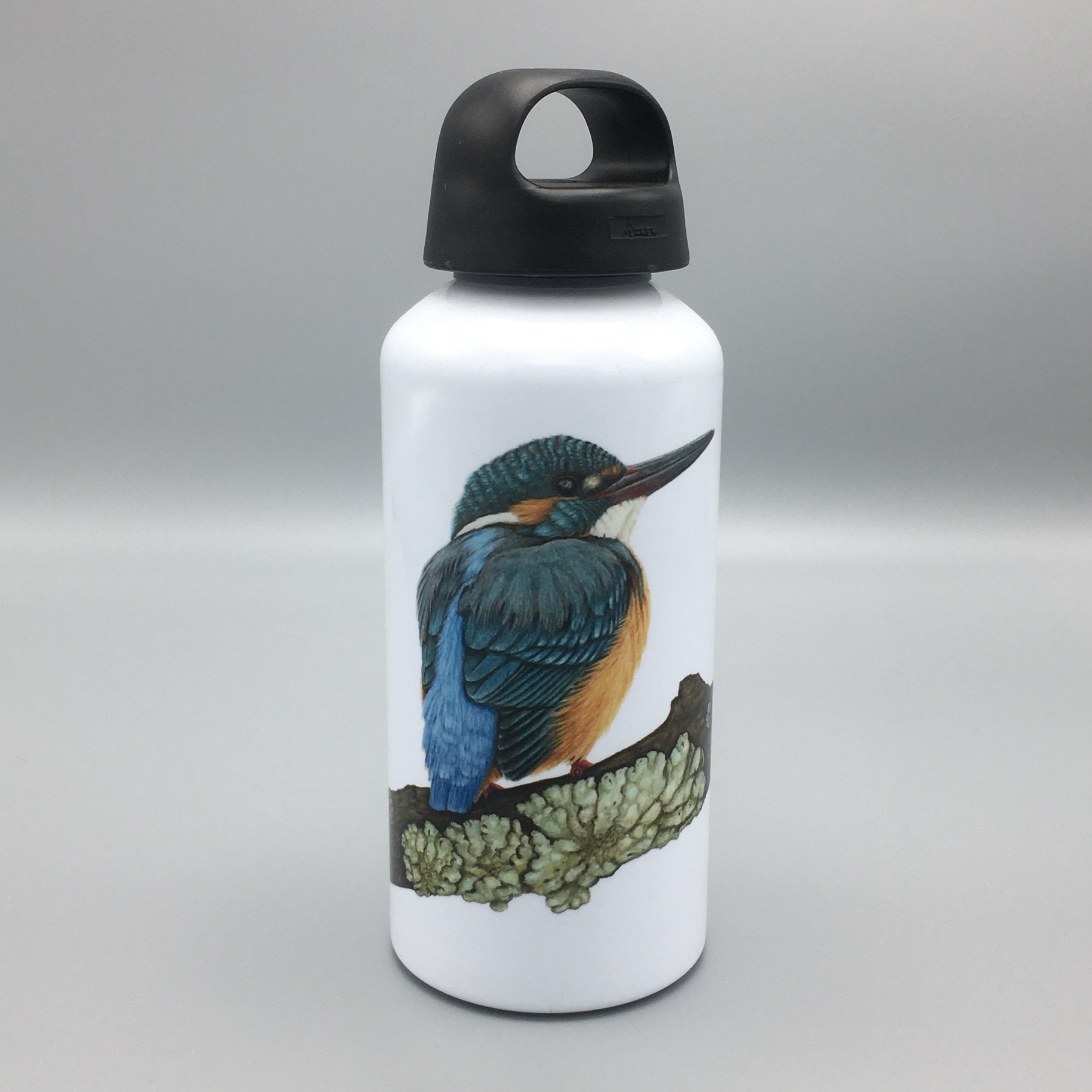 ijsvogel op korstmos 1