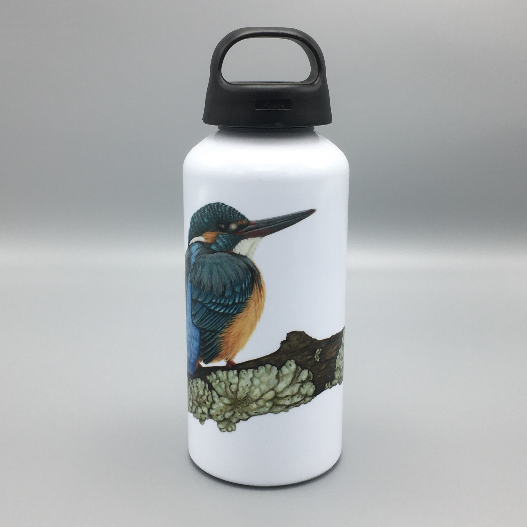 ijsvogel op korstmos 3