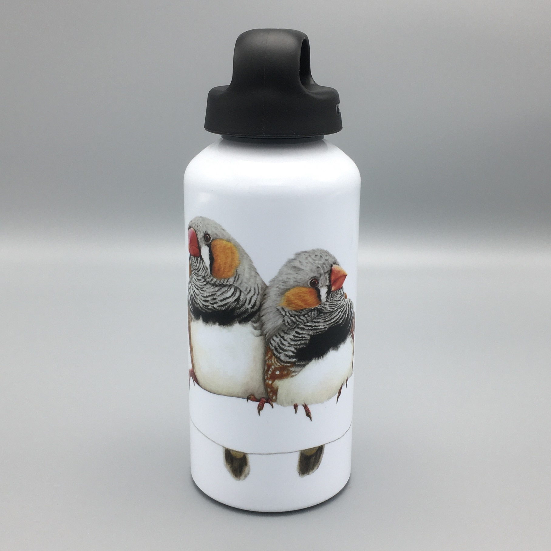 zebravinkenpaar 1