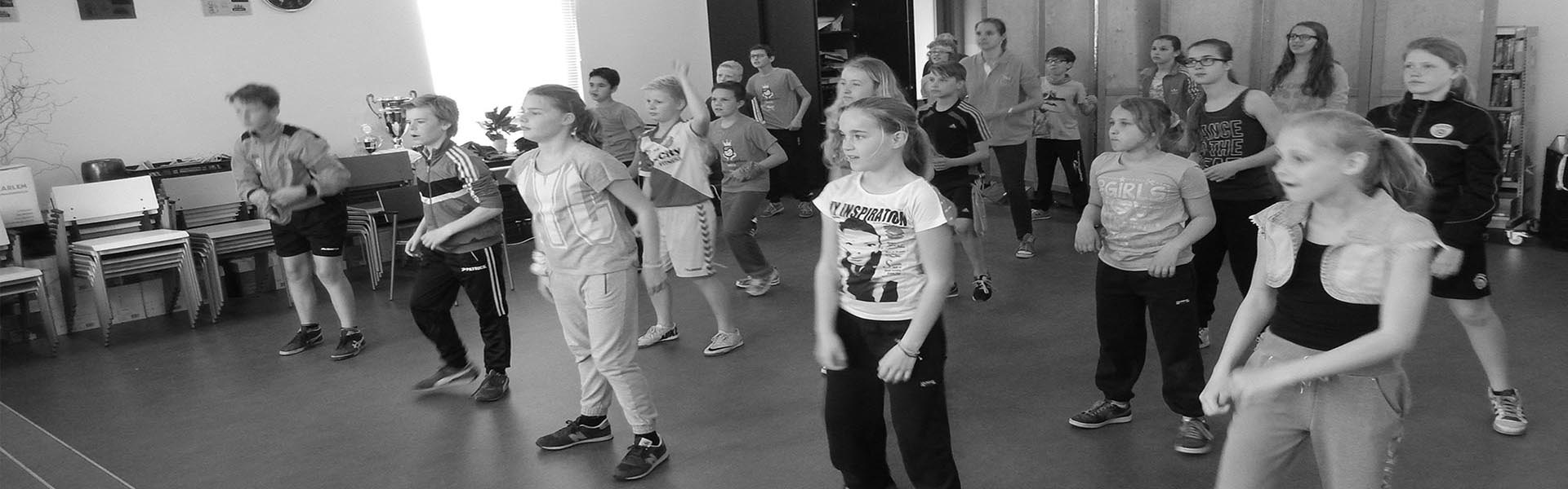fitdance fityard zw1